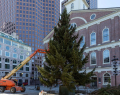 Christmas Tree Trimming, Faneuil Hall